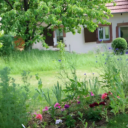 La Petite Maison *